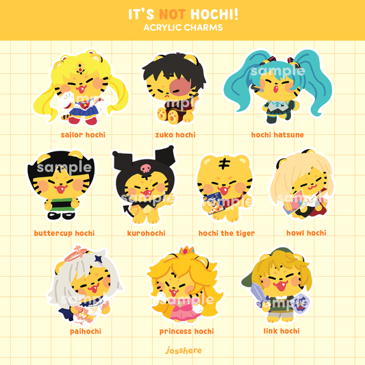 It's NOT Hochi - Acrylic Charms